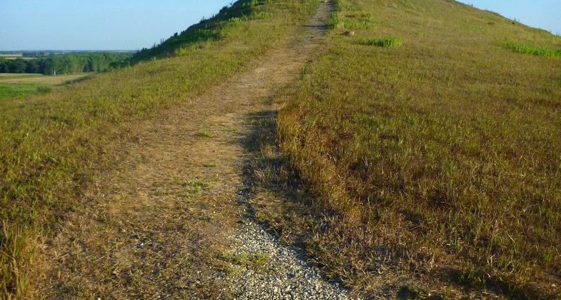 Photo by Fiana Shapiro.