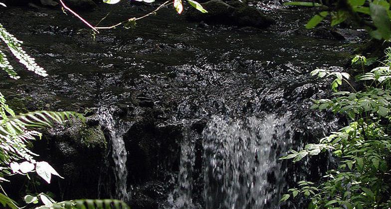 Stone structure in Macleay Park. Photo by Finetooth wiki.