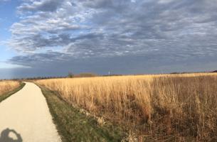 Springbrook Prairie Trail