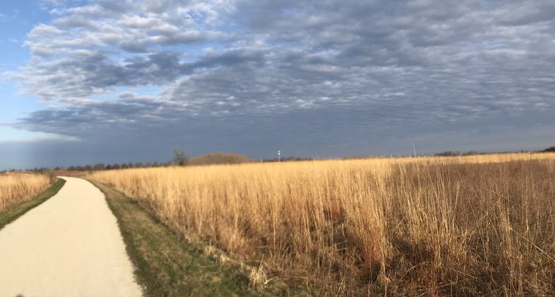 Morning on the Prairie. Photo by Linda J Evans.
