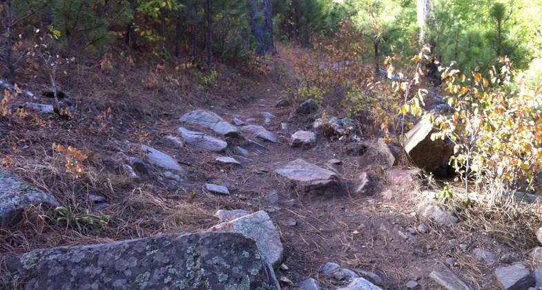 Rock challenges on the trail. Photo by Singletracks/GTXC4.