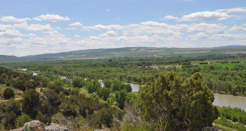 Cress Creek. Photo by Sarah Wheeler.