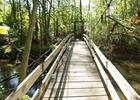 A footbridge on the preserve grounds.