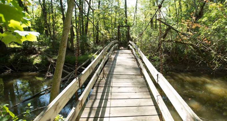 A footbridge on the preserve grounds.