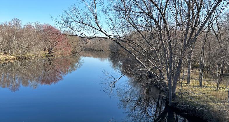 Highway and pedestrian bridges. Photo by Janie Walker.