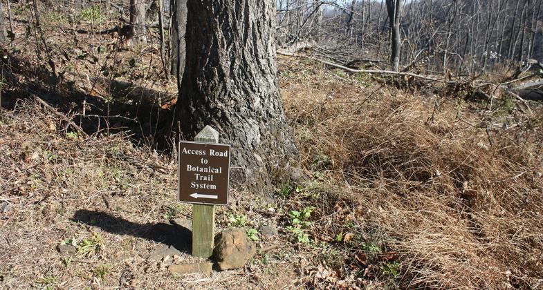 Botanincal garden hike. Photo by Ferrum EDU.