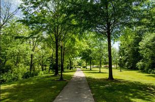 Kitty Dill Memorial Parkway