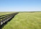 Prairie-Marsh Boardwalk - Benton Lake NWR - 7-20-18. Photo by Jim Walla.