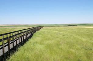 Prairie-Marsh Boardwalk