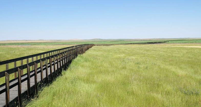 Prairie-Marsh Boardwalk - Benton Lake NWR - 7-20-18. Photo by Jim Walla.
