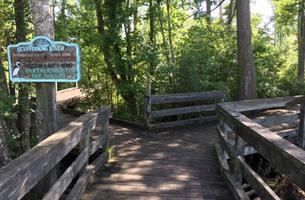 Scuppernong River Interpretive Boardwalk