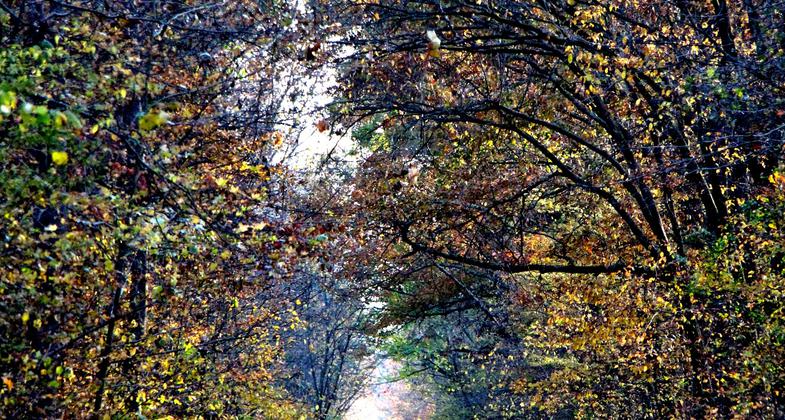 Vienna visitor and tourism center connected to trail and park - community working to promote the trail. Photo by Jonathan Voelz.