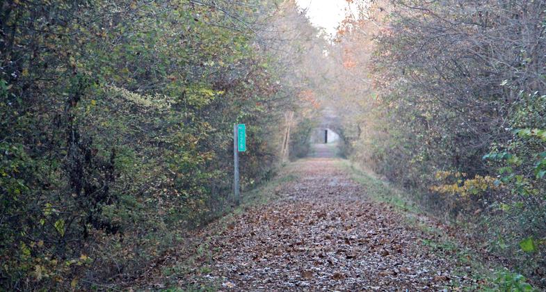 Fall along southern trail segment. Photo by Jonathan Voelz.