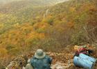 Overlook near Lane Pinnacle, a peak east of Asheville, NC during peak fall foliage. Photo by Matt Mutel.