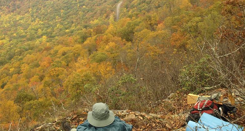 Overlook near Lane Pinnacle, a peak east of Asheville, NC during peak fall foliage. Photo by Matt Mutel.