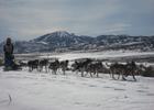Dog sled on Historic Union Pacific Rail Trail near Park City, Utah. Photo by Bob Kollar.