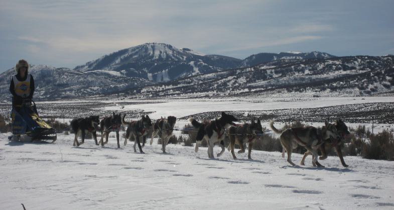 Dog sled on Historic Union Pacific Rail Trail near Park City, Utah. Photo by Bob Kollar.