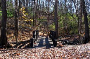 Jacobus Park Nature Trail