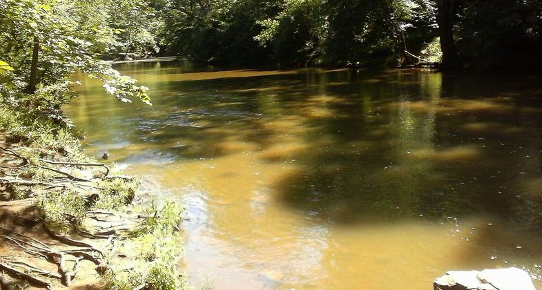 Bull Run from the Bull Run-Occoquan Trail. Photo by Jakob Coles.