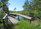 Boardwalk on Pine Ridge Nature Trail. Photo by Sara Giles / USFWS.