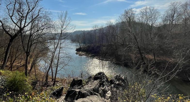 White Horse Rapid. Photo by Mary Shaw.