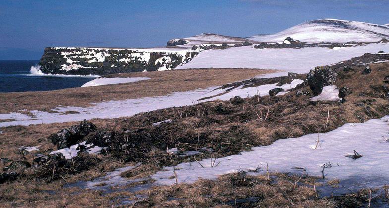 St Paul Island bird cliffs. Photo by U.S. Fish and Wildlife.