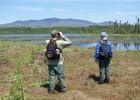 Wildlife watching at Little Cherry Pond.
