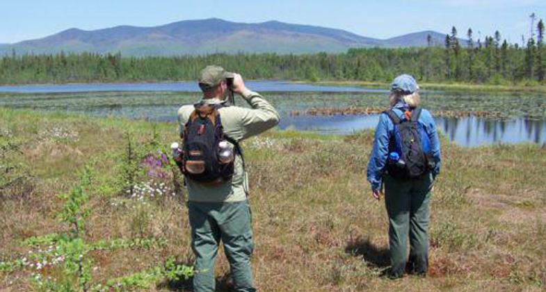 Wildlife watching at Little Cherry Pond.