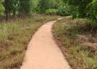 Woodland trail with interpretive signage. Photo by Amber Zimmerman/USFWS.