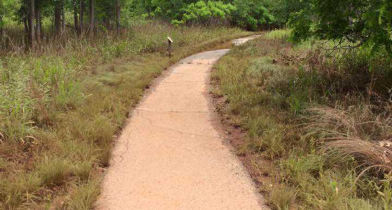 Woodland trail with interpretive signage. Photo by Amber Zimmerman/USFWS.
