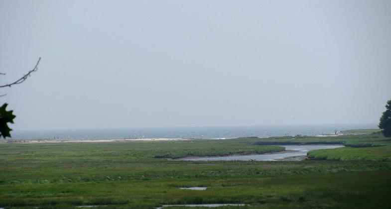 Photo from walking trail. Photo by Captain-tucker/wiki.