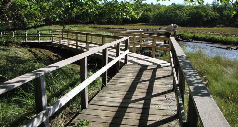 This Hurricane Sandy recovery project repaired damages to a section of boardwalk on the Carson Trail. Photo by USFS.