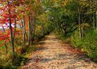 A fall trail beckons at Rachel Carson National Wildlife Refuge in Maine. Photo by USFWS.