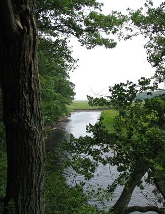 Photo by Captain-tucker/wiki.