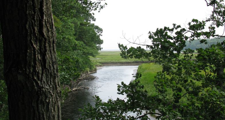 Winter 2018-2019 Trail Erosion. Photo by Andy Griffith.