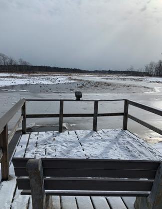 Winter view. Photo by Janie Walker.