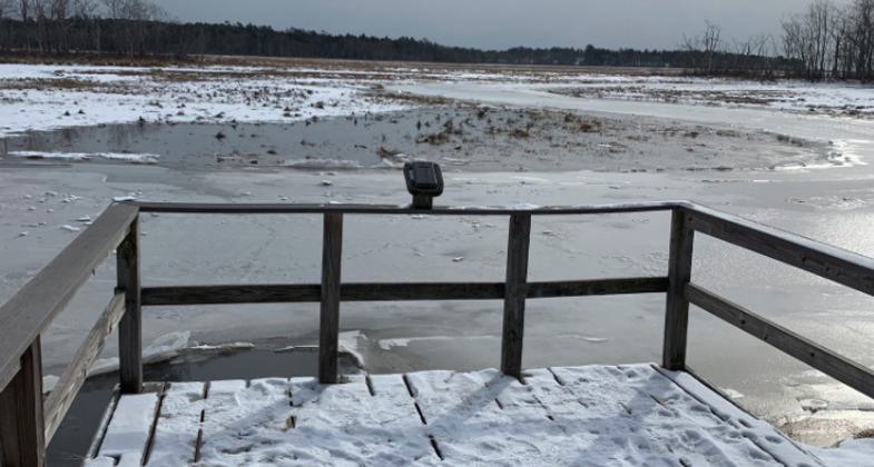 A fall trail beckons at Rachel Carson National Wildlife Refuge in Maine. Photo by USFWS.