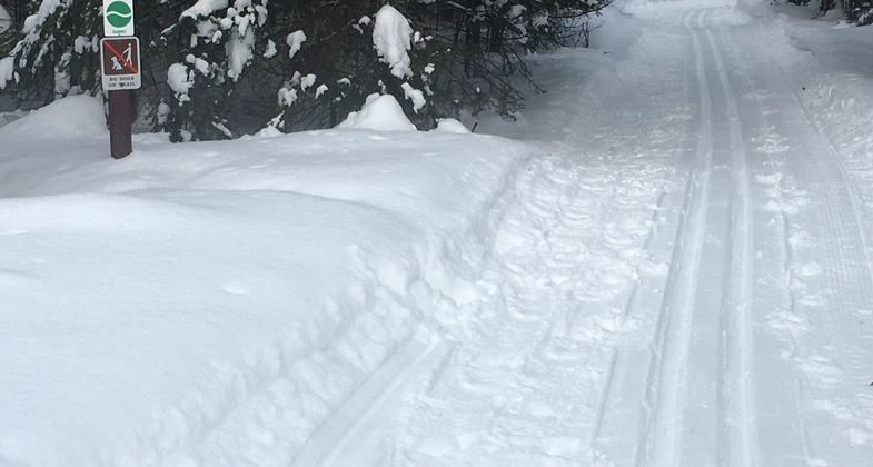 Tracks in the snow. Photo by https://www.facebook.com/rapid.