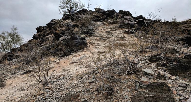 North Mountain - typical section of trail. Photo by Jim Walla.