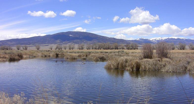 Photo by Provided by Clarke Dirks.