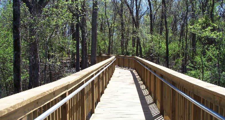 Photo by Andrew Hammond.