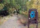 DISPLAY POND TRAIL IN BOWDOIN NATIONAL WILDLIFE REFUGE.