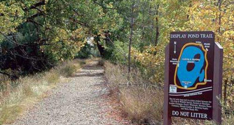 DISPLAY POND TRAIL IN BOWDOIN NATIONAL WILDLIFE REFUGE.
