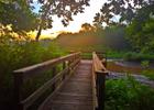 The sun rises over the education dock on the Cussetah Bottoms Boardwalk Trail.