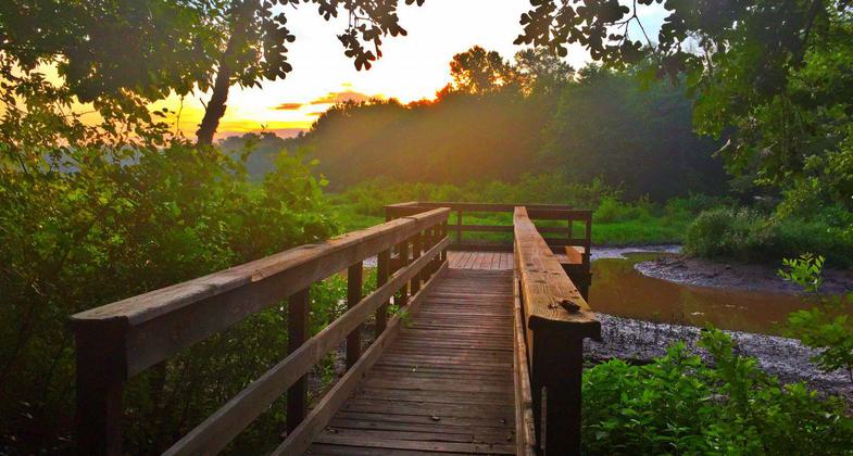 The sun rises over the education dock on the Cussetah Bottoms Boardwalk Trail.