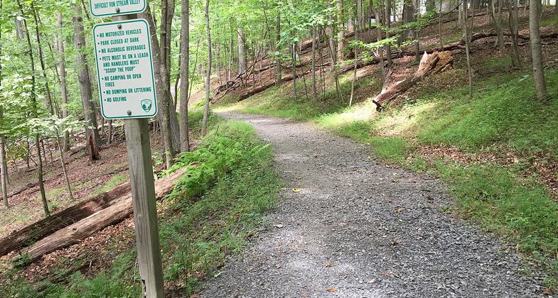 View north along the Gerry Connolly Cross County Trail between Miller Heights Road and Vale Road in Oakton, Fairfax County, Virg. Photo by Famartin.