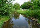 Saline River at Curtiss Park. Photo by Michael Barera.