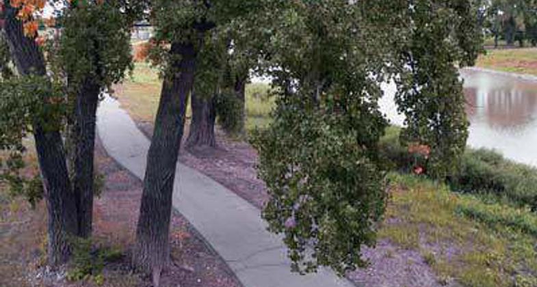 The East Grand Forks/Grand Forks Greenway Trail on the MN side of the Red River. Photo by Stuart Macdonald, 2007.