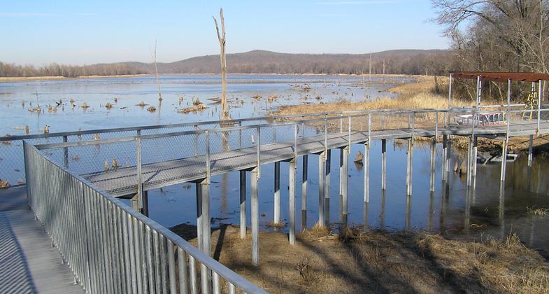 Horton Slough boardwalk. Photo by Jeff Haas.