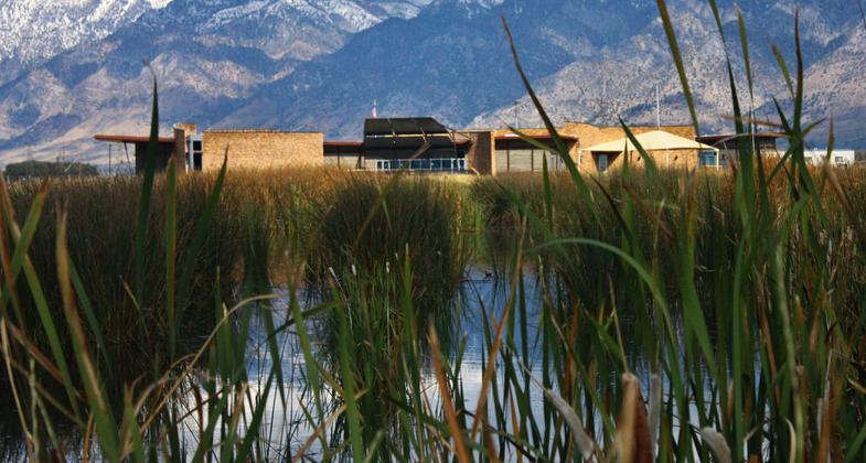 Photo by Roxie Crouch.